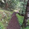 The trail winding down the hill.