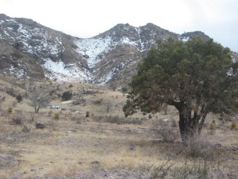 Winter view of the Organ Mountains from the trail