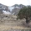 Winter view of the Organ Mountains from the trail