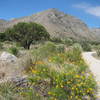 Walking east on the trail