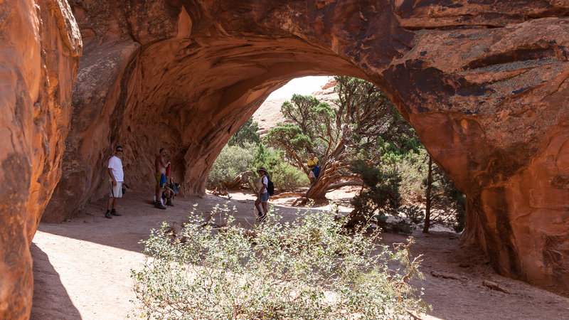 Navajo Arch