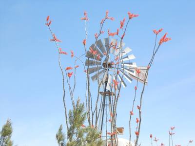 Windmill and start of trail