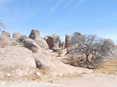 Looking North on the trail.