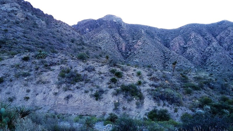 Looking east from the trail