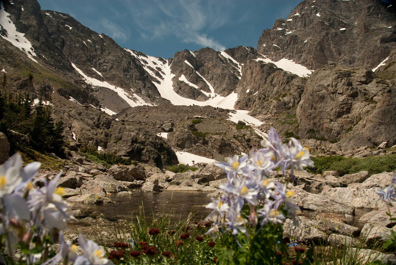 Columbines before the Lake of Glass