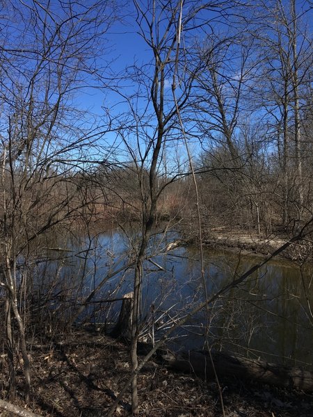 On the banks of Fleming Creek