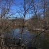 On the banks of Fleming Creek