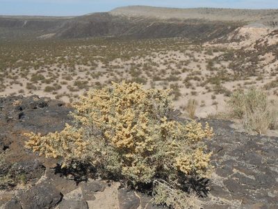 View of the east rim.