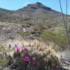 View of Bishop's Cap from the trail.