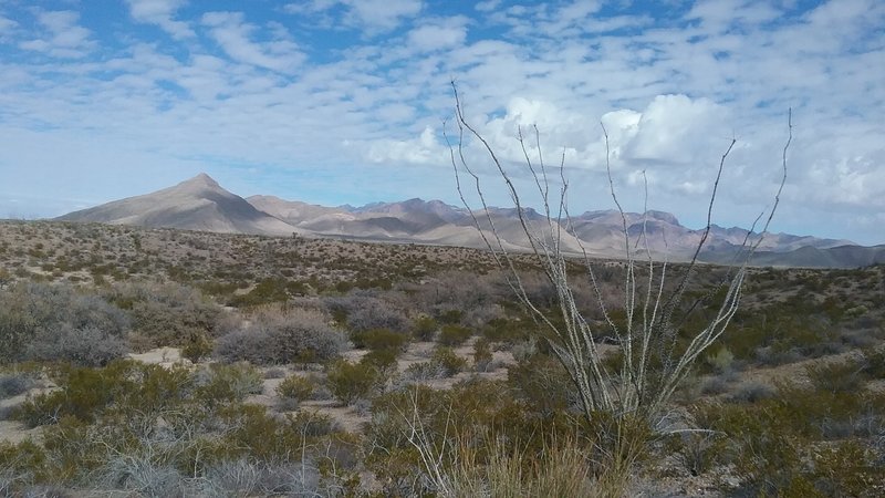 Looking NE on the trail.