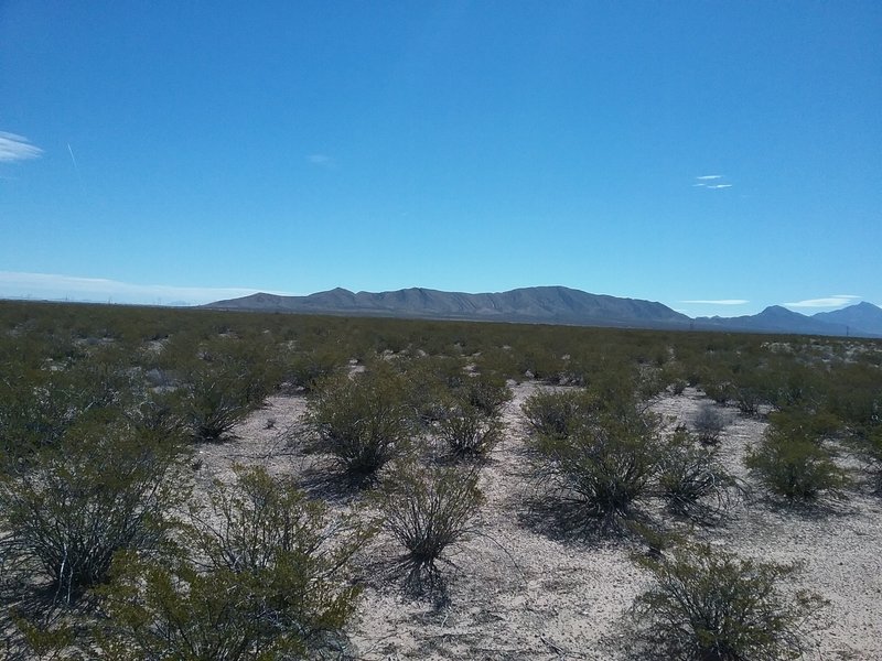 Looking south near Vado