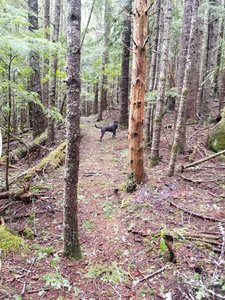 Atlas telling me to hurry up