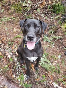 Trail is Atlas approved