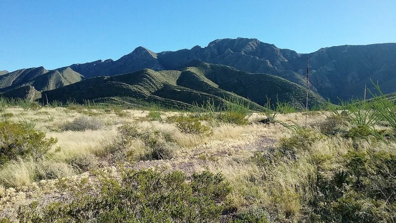 Looking east from the trail