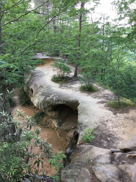 Top of Princess Arch