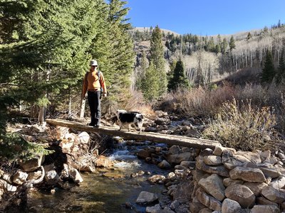 Shingle lake trail