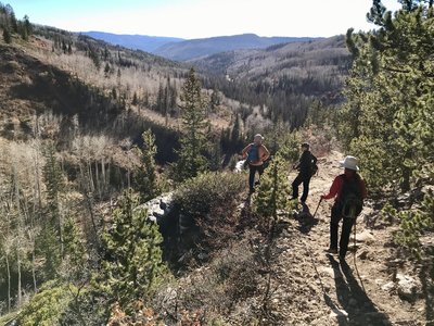 Shingle lake trail