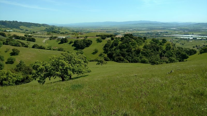 Grass hills with rural southern Santa Clara Valley in the distance is seen when looking south-southwest on Rancho La Polka Trail.