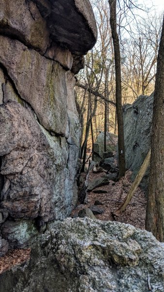 An interesting choice of paths made by the trailblazers, this is near the Lemon Squeeze in Harriman State Park