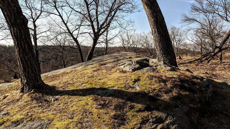 An early morning view on the Appalachian Trail from the near the top of Island Pond Mountain