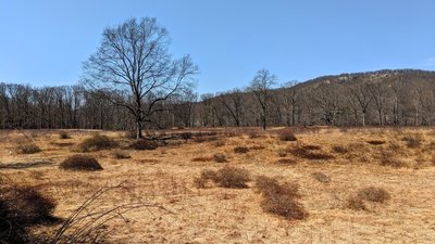 An early spring view of the grassland near Elk Pen parking entices one to plan an Autumn return.
