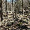 A small section of the "Valley of the Boulders" in Harriman State Park.