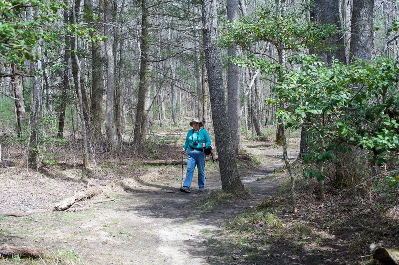 Mom hiking along the trail