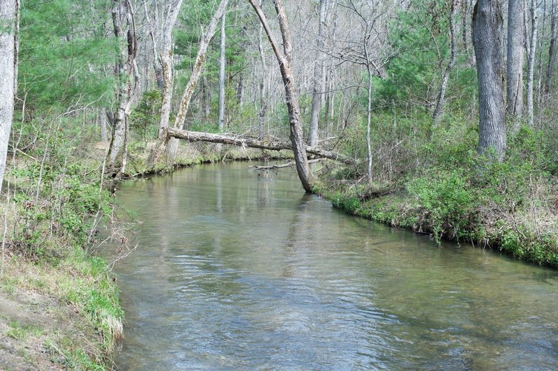 Abrams Creek runs parallel to the trail.  It's very peaceful here.