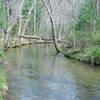 Abrams Creek runs parallel to the trail.  It's very peaceful here.