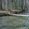 A tree crosses Abrams Creek. Unless you want to cross the creek on the log, you either have to wade or take an alternate route to the access trail from the Elijah Oliver Cabin.