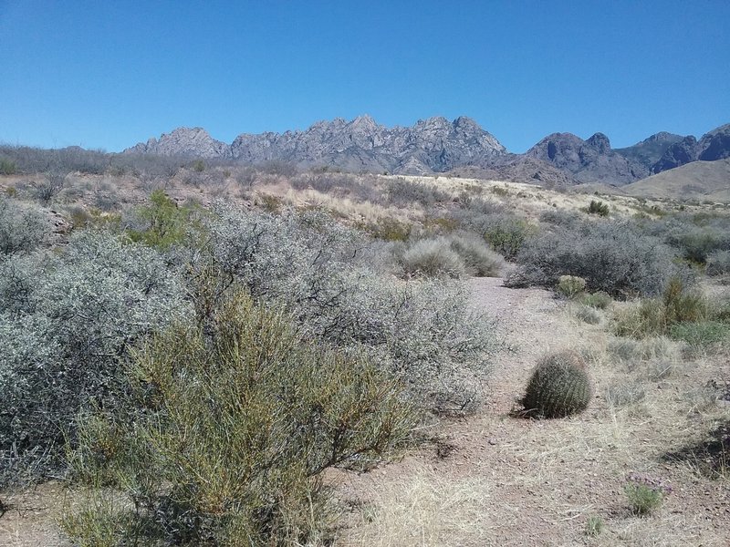 Looking east from the trail