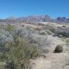 Looking east from the trail