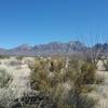 Ephreda and Organ Mountains