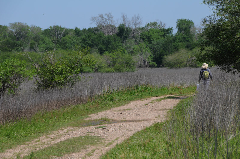 A hiker heads into the trail system to find a spot to fish