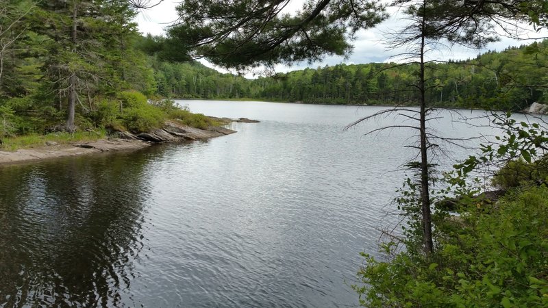 Little Rock Pond