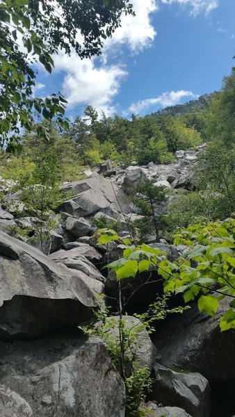 At the base of the ice beds. The ice is under the boulders.