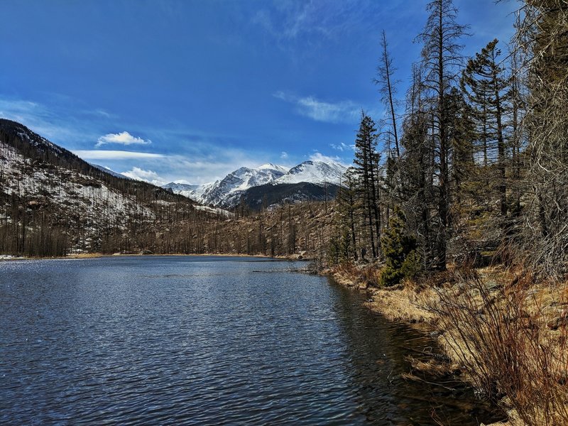 Cub Lake has an awesome Mountain View!