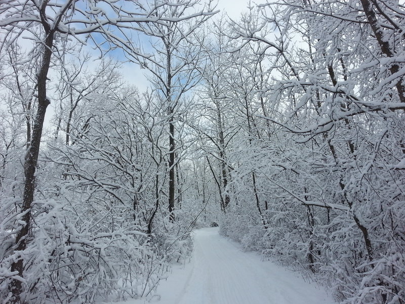 Hollows Conservation Area in the winter - Photo courtesy of McHenry County Conservation District