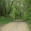 Hollows Conservation Area - Photo courtesy of McHenry County Conservation District