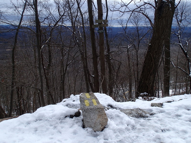 Undercliff connector trail from Undercliffe Road