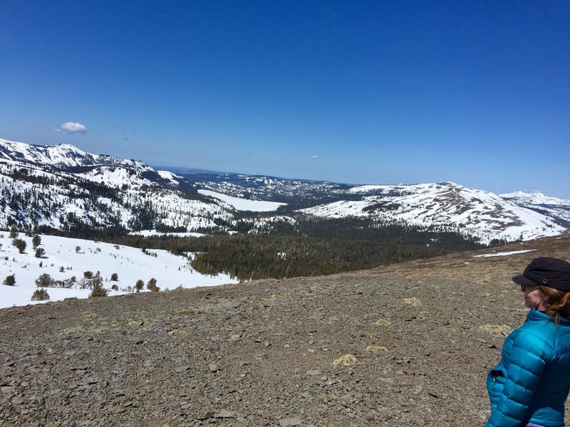 View to north from top of Elephant Back.