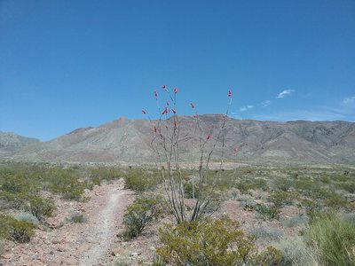 Looking east from the trail and the Franklin Mountains