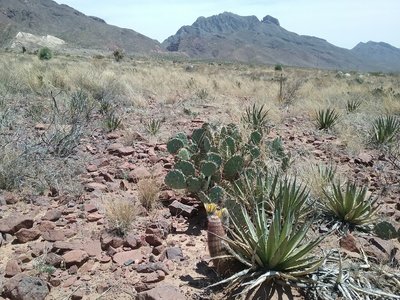 View of South Franklin Peak