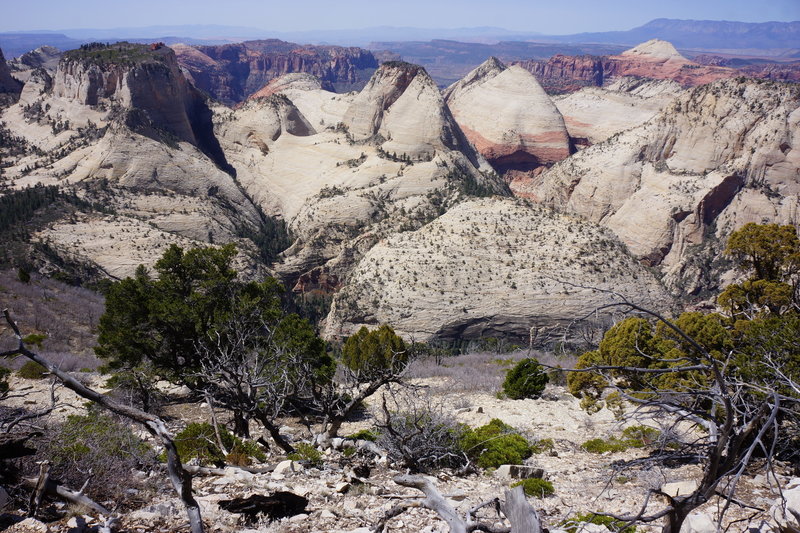 View from the rim of the West Rim Trail, looking towards the west