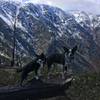 Hanging out along Icicle Ridge, enjoying the view