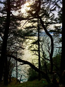 The sun and the water as seen from the trail.