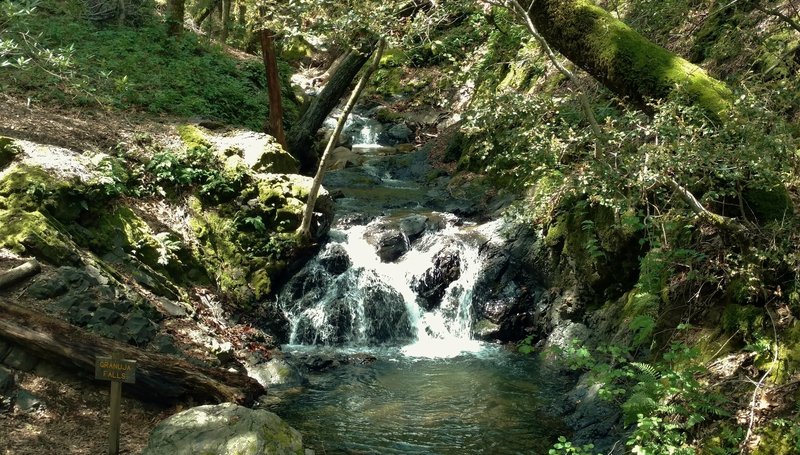 Granuja Falls along Swanson Creek.