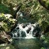 Granuja Falls along Swanson Creek.