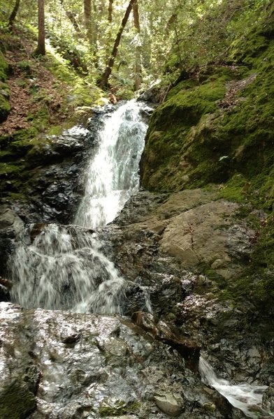 Basin Falls is at the end of Basin Falls Trail.