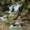 Little Falls along the Waterfall Loop Trail.